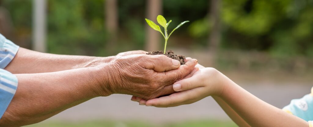 Un petit arbre en pleine croissance, avec la terre transférée entre les mains de personnes âgées et d'enfants, devant un arrière-plan de forêt verte. Cela symbolise l'engagement pour l'environnement et le développement durable.